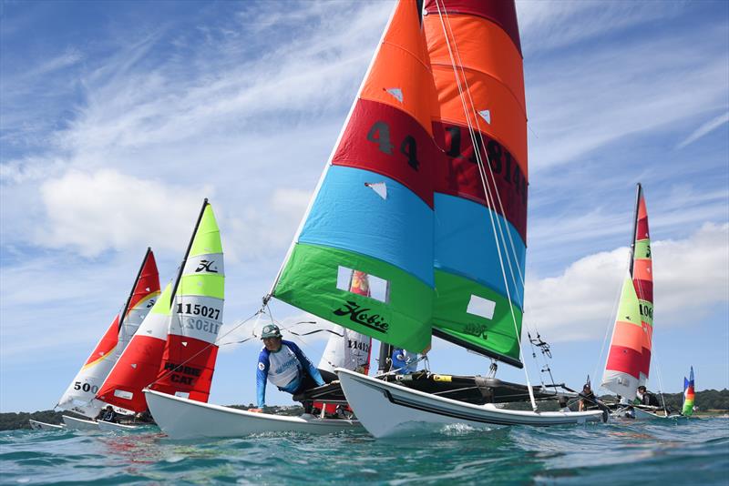 Savills Channel Islands Hobie Cat Championships 2024 photo copyright David Ferguson taken at Royal Channel Islands Yacht Club and featuring the Hobie 16 class