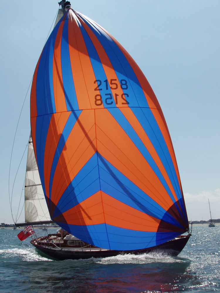 Hyde Sails Special Cruising Chute Offer photo copyright Hyde Sails taken at  and featuring the  class