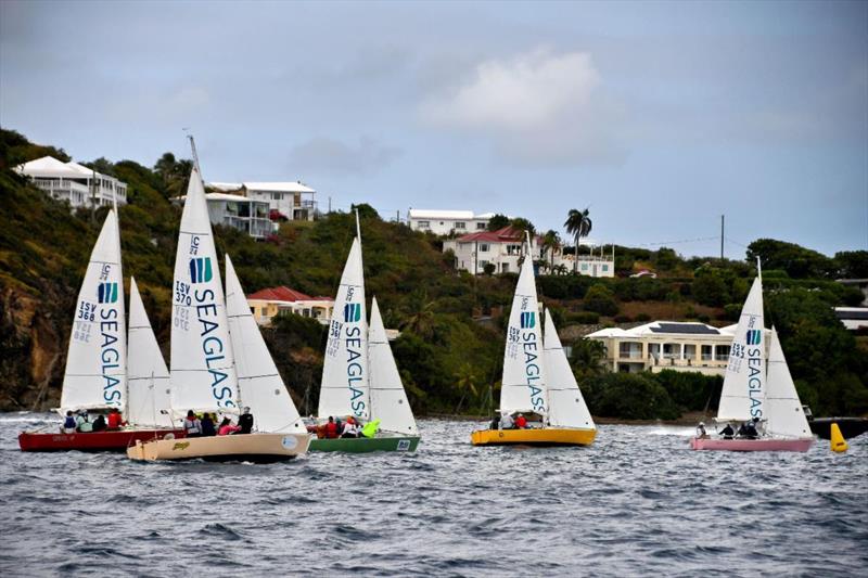 Participants sail IC-24s in the 2024 Mid-Winter Clinic & Regatta in Paradise! photo copyright Dean Barnes taken at St. Thomas Yacht Club and featuring the IC24 class