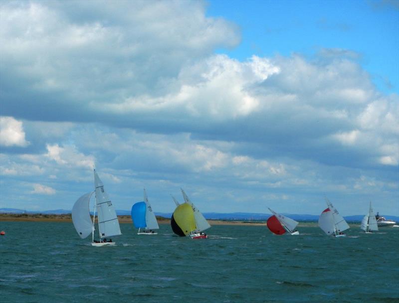 Bembridge Illusion Spring Plate 2025 photo copyright Mike Samuelson taken at Bembridge Sailing Club and featuring the Illusion class