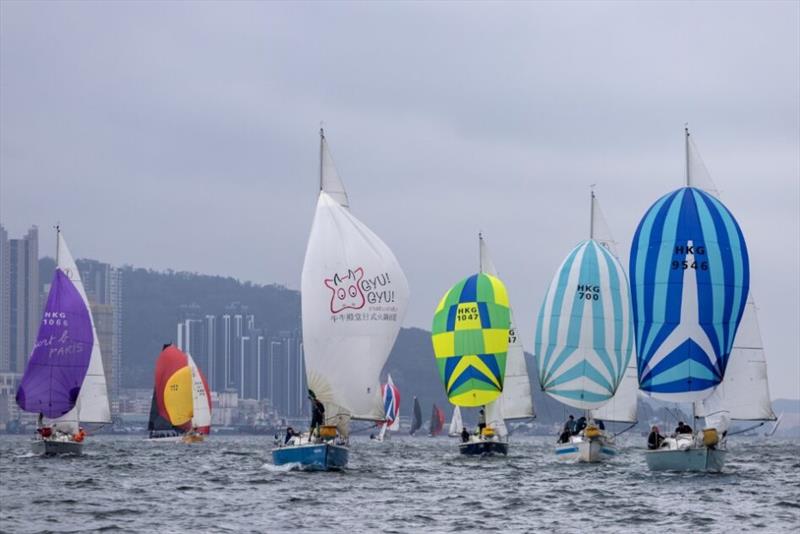 RHKYC BMW Spring Regatta 2024 photo copyright RHKYC / Guy Nowell taken at Royal Hong Kong Yacht Club and featuring the Impala 28 class