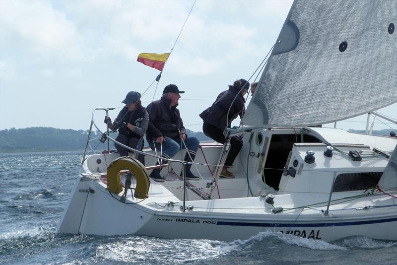 Mipaal, second - Impala European Championship at Strangford Lough photo copyright EDYC taken at East Down Yacht Club and featuring the Impala 28 class