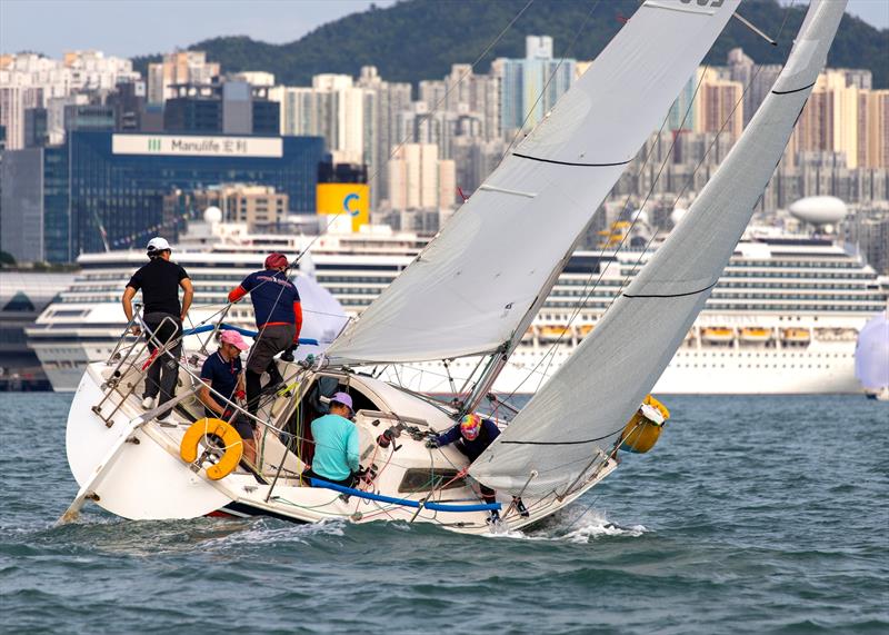 Lipton Trophy 2024 at Royal Hong Kong Yacht Club photo copyright RHKYC / Guy Nowell taken at Royal Hong Kong Yacht Club and featuring the Impala 28 class