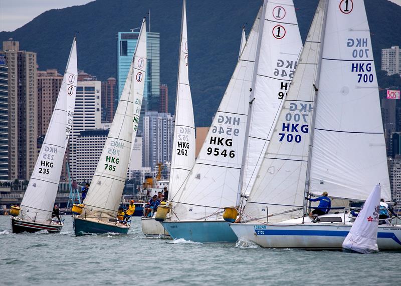 Lipton Trophy 2024 at Royal Hong Kong Yacht Club photo copyright RHKYC / Guy Nowell taken at Royal Hong Kong Yacht Club and featuring the Impala 28 class