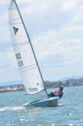 Andrew Triggell - 39th Impulse Australian Championships © Lou Hollis, Dave Taylor, Neale Maynard