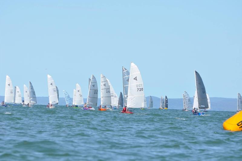 Fleet heading to the Wing Mark Heat 6 - 39th Impulse Australian Championship photo copyright Lou Hollis, Dave Taylor, Neale Maynard taken at Darling Point Sailing Squadron and featuring the Impulse class