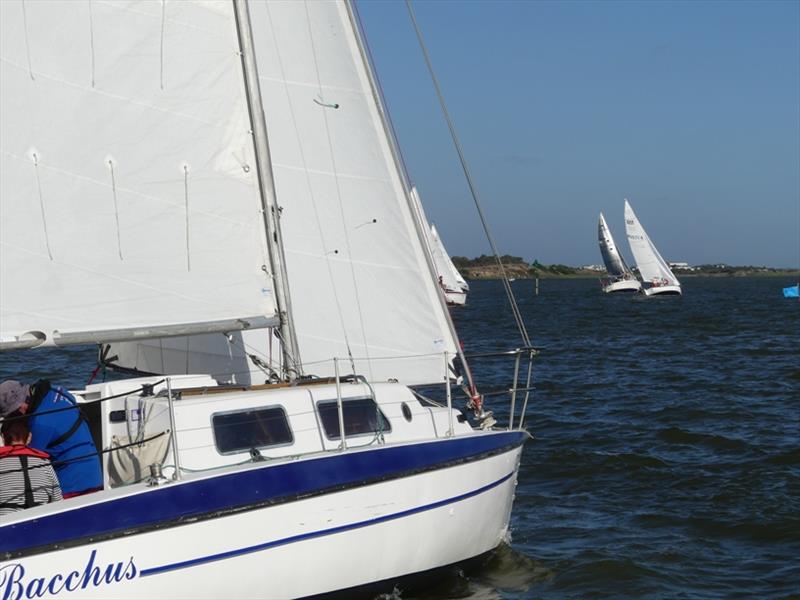 Bacchus looks up the course chasing the fleet – Goolwa Regatta Week - photo © Chris Caffin