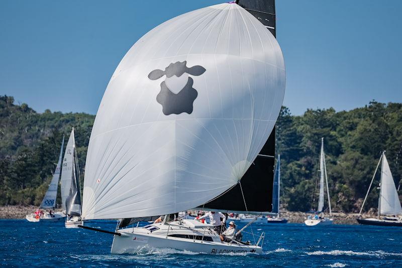 Black Sheep on day 1 of Hamilton Island Race Week - photo © Salty Dingo