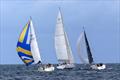 Knight Star, Rico and Jack Rabbit leaving the Videcoq buoy during the Waller-Harris Two-handed Triangle Race © Bill Harris