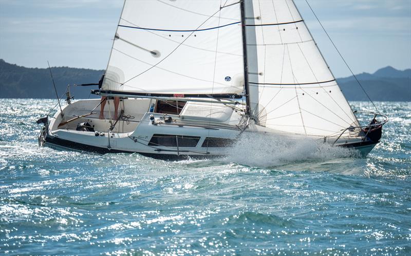 Bay of Islands Sailing Week 2024 - Opua, Northland , NZ - photo © Jacob Fewtrell Media