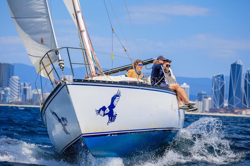 The Yacht Sales Co Sail Paradise Regatta 2024 - Day 1 photo copyright Salty Dingo taken at Southport Yacht Club, Australia and featuring the IRC class