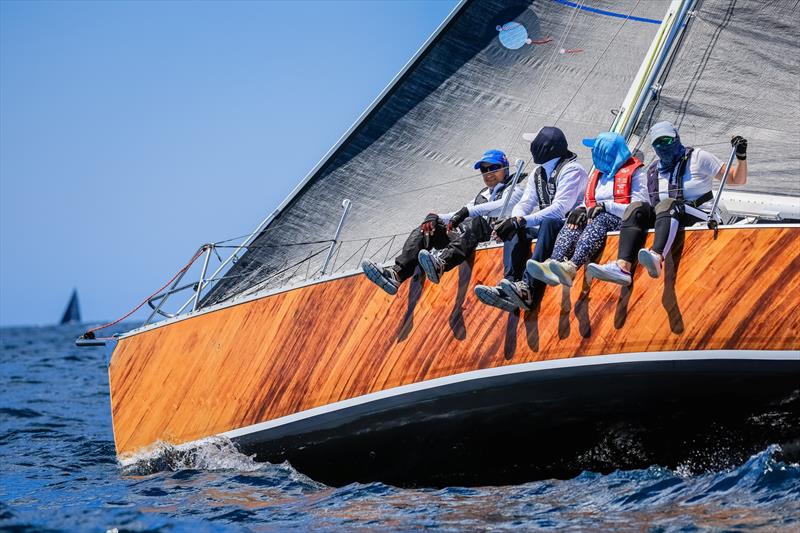 The Yacht Sales Co Sail Paradise Regatta 2024 - Day 1 photo copyright Salty Dingo taken at Southport Yacht Club, Australia and featuring the IRC class