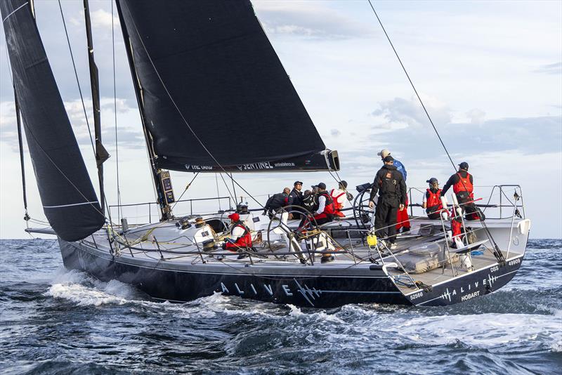 Alive leaving Sydney Harbour in the 2023 Cabbage Tree Island Race - photo © Andrea Francolini