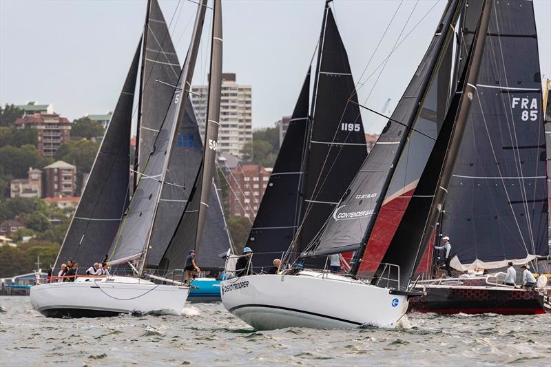 Disko Trooper_Contender Sailcloth before the start - photo © CYCA | Andrea Francolini