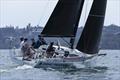 Disko Trooper-Contender Sailcloth is the benchmark - Sydney Harbour Regatta © Andrea Francolini