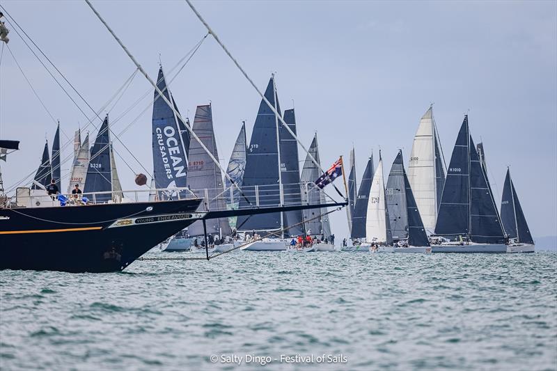 182nd Nautica House Festival of Sails Passage Race photo copyright Salty Dingo taken at Royal Geelong Yacht Club and featuring the IRC class