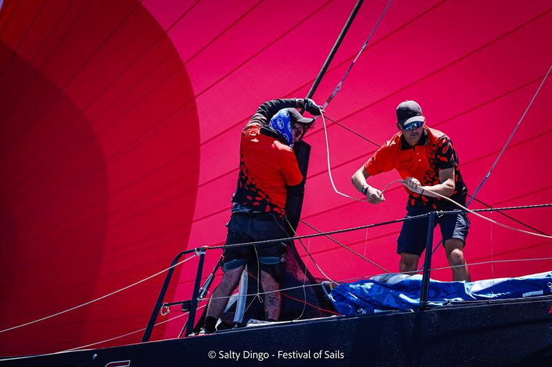 182nd Nautica House Festival of Sails Passage Race photo copyright Salty Dingo taken at Royal Geelong Yacht Club and featuring the IRC class