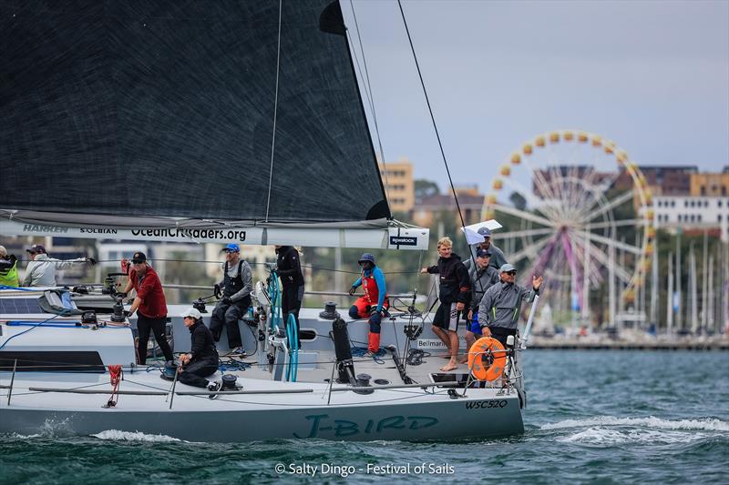 Festival of Sails 2025 photo copyright Salty Dingo taken at Royal Geelong Yacht Club and featuring the IRC class