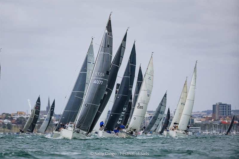 Festival of Sails 2025 photo copyright Salty Dingo taken at Royal Geelong Yacht Club and featuring the IRC class