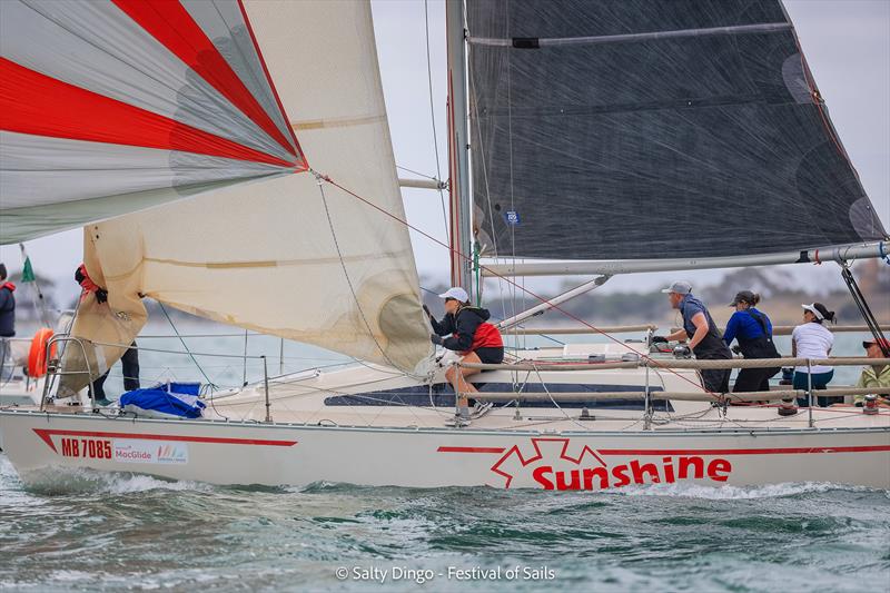 Festival of Sails 2025 photo copyright Salty Dingo taken at Royal Geelong Yacht Club and featuring the IRC class