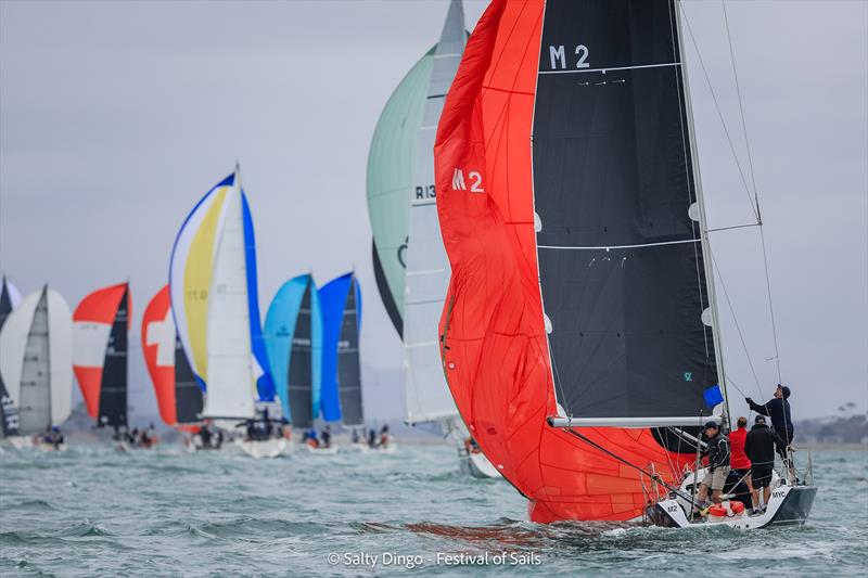 Festival of Sails 2025 photo copyright Salty Dingo taken at Royal Geelong Yacht Club and featuring the IRC class