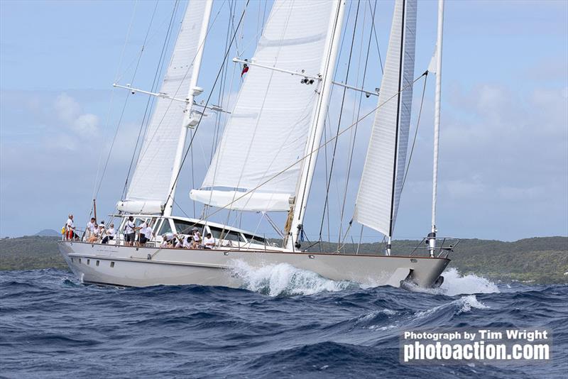 Catalina - 2025 Superyacht Challenge Antigua - photo © Tim Wright / Photoaction.com