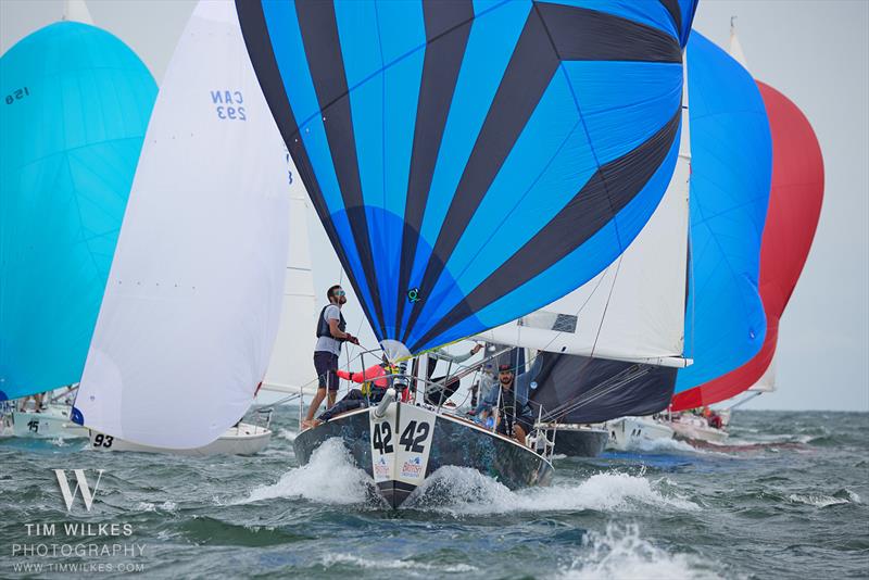 2024 J105 North American Championship photo copyright Tim Wilkes Photography taken at Edgewater Yacht Club and featuring the J105 class