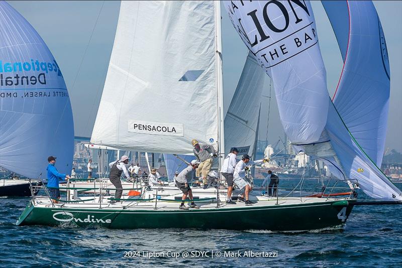 2024 Lipton Cup photo copyright Mark Albertazzi taken at San Diego Yacht Club and featuring the J105 class