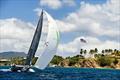 Apollo enjoys round-the-island sailing in STIR © Dean Barnes