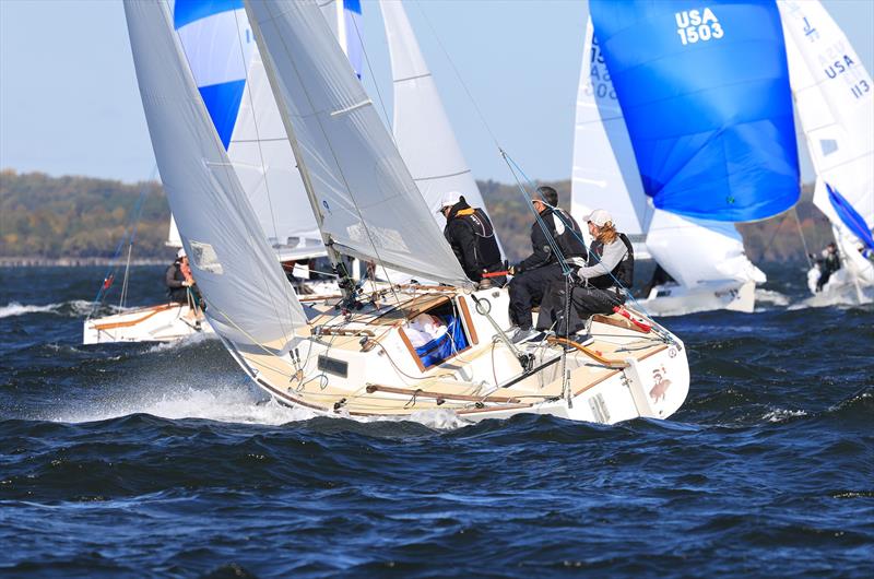 2024 J/22 World Championship photo copyright Will Keyworth taken at Eastport Yacht Club and featuring the J/22 class