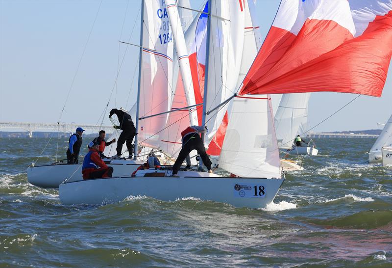 2024 J/22 World Championship photo copyright Will Keyworth taken at Eastport Yacht Club and featuring the J/22 class