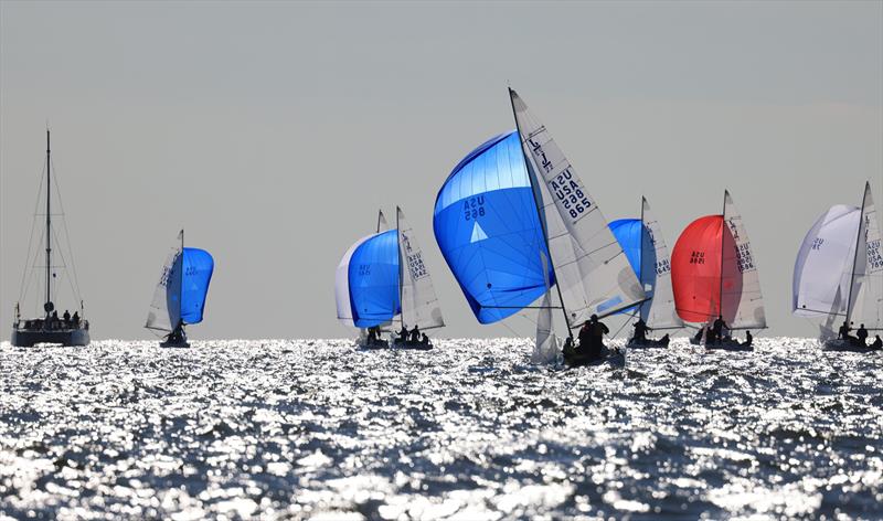 2024 J/22 World Championship photo copyright Will Keyworth taken at Eastport Yacht Club and featuring the J/22 class