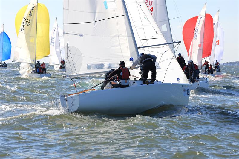 2024 J/22 World Championship photo copyright Will Keyworth taken at Eastport Yacht Club and featuring the J/22 class