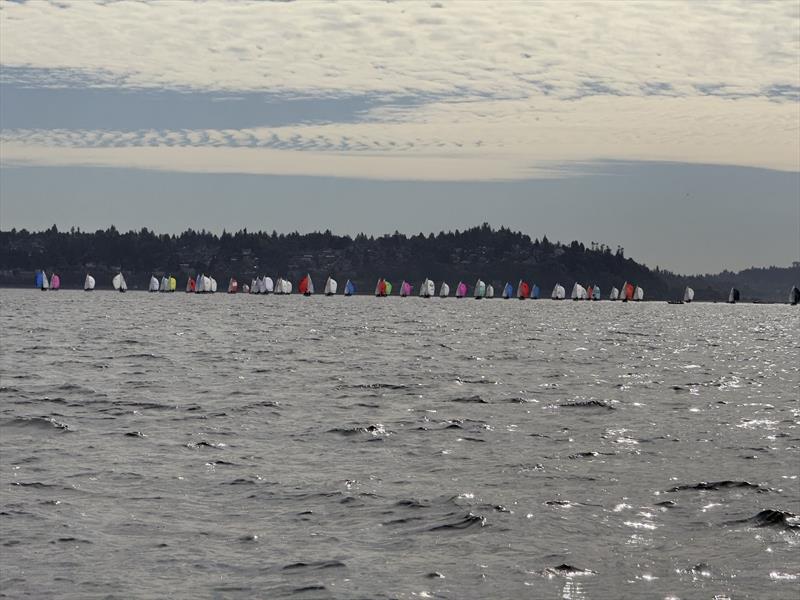 Racecourse action at the 2024 Beecher's Handmade Cheese J/24 World Championship photo copyright David Schmidt taken at Corinthian Yacht Club of Seattle and featuring the J/24 class