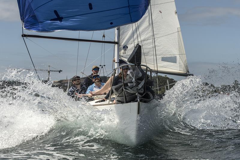 James Bednaic's J24 Calypso ploughs downwind - Nautilus Marine Insurance Sydney Harbour Regatta - photo © Margaret Fraser-Martin