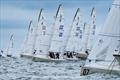 J/70 Corinthian US National Championship 2024 © Hannah Lee Noll