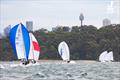 Great fleet of 14 boats - NSW J/70 Championship 2024 © Nic Douglass for @sailorgirlHQ