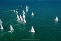 J/70 - Charles Thompson's ‘Brutus III' port tacks the fleet in race 4 during Bacardi Winter Series Event 2