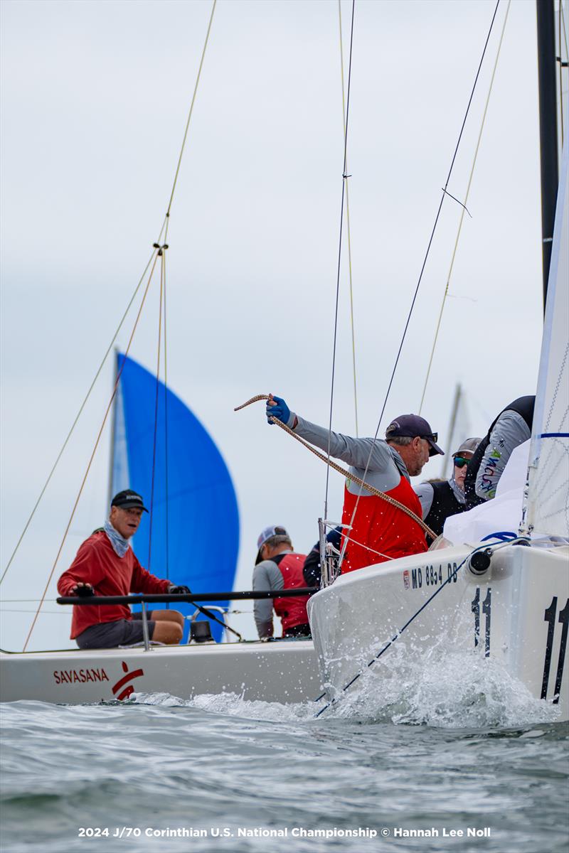 J/70 Corinthian US National Championship 2024 photo copyright Hannah Lee Noll taken at Corinthian Yacht Club of Cape May and featuring the J70 class