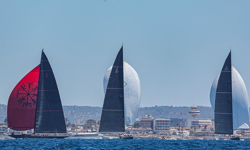 Superyacht Cup Palma 2024  photo copyright Sailing Energy / The Superyacht Cup taken at Real Club Náutico de Palma and featuring the J Class class