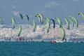 Formula Kite and iQFOiL in front of the Palma Cathedral © Sailing Energy / Trofeo Princesa Sofía Mallorca