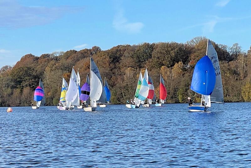 Craftinsure Lark Winter Championships at Frensham photo copyright Jonathan Inglesfield taken at Frensham Pond Sailing Club and featuring the Lark class