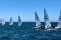 Performance Academy sailors training before ILCA Worlds in Viana, Portugal © Performance Academy