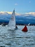 Dun Laoghaire Frostbites Series 1: John Marmelstein (ILCA 7) approaches the leeward mark in Race 2 © Alyson Orr