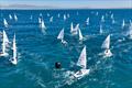 ILCA 7 will be the largest fleet © Sailing Energy / Trofeo Princesa Sofía Mallorca