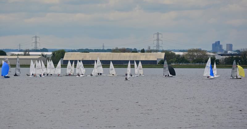 2024 Queen Mary Sailing Club Championships photo copyright QM taken at Queen Mary Sailing Club and featuring the ILCA 7 class