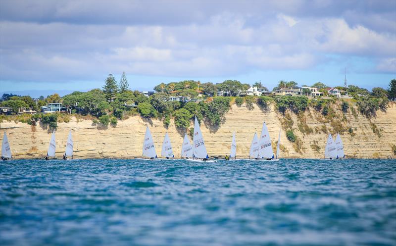 ILCA - Day 3 - Oceanbridge Sail Auckland 2025 - March 2, 2025 photo copyright Jacob Fewtrell Media taken at Torbay Sailing Club and featuring the ILCA 7 class