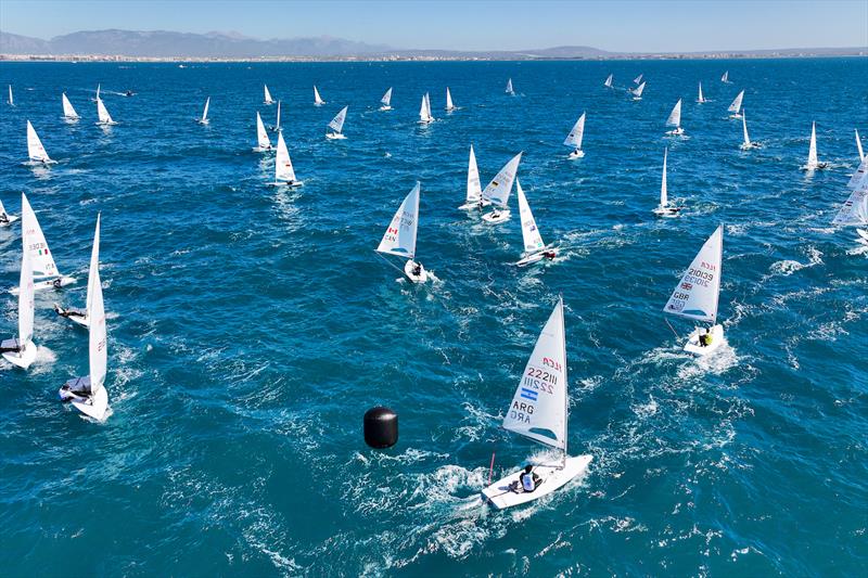 ILCA 7 will be the largest fleet - photo © Sailing Energy / Trofeo Princesa Sofía Mallorca