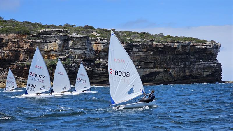 Australian ILCA6 Squad and Futures Program Training in Sydney photo copyright Australian Sailing Team taken at  and featuring the ILCA 6 class