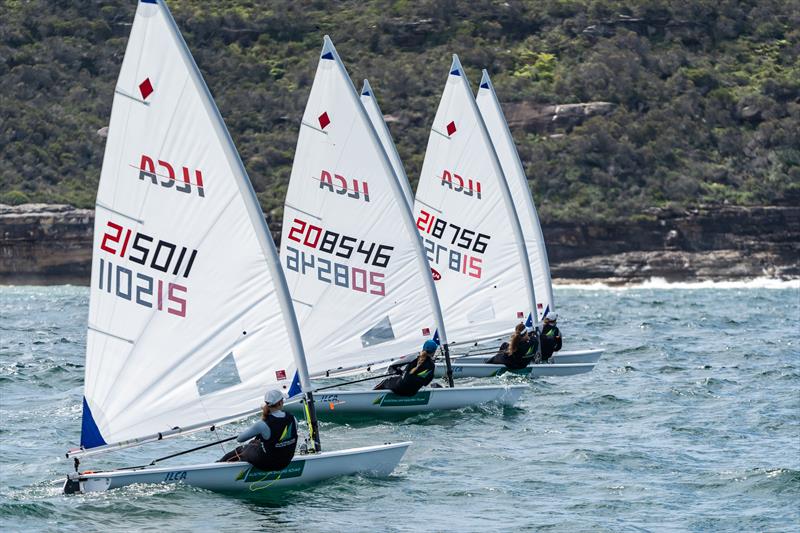 ILCA6 Squad Line up in Sydney - photo © Beau Outteridge / Australian Sailing Team